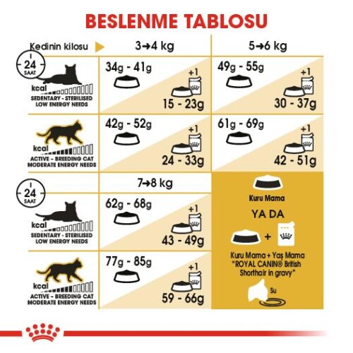 Royal Canin British Shorthair İçin Özel Irk Yetişkin Kedi Maması 10 kg
