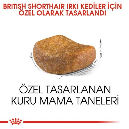 Royal Canin British Shorthair İçin Özel Irk Yetişkin Kedi Maması 10 kg