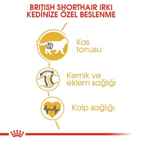 Royal Canin British Shorthair İçin Özel Irk Yetişkin Kedi Maması 10 kg