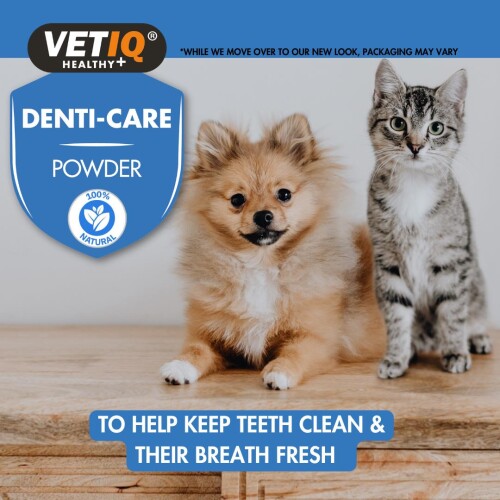 Vet IQ Kedi ve Köpek İçin Diş Bakım Tozu 60 gr