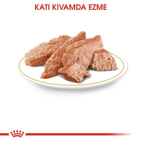 Royal Canin Chihuahua Adult Pouch Yetişkin Köpekler İçin Konserve 85 Gr
