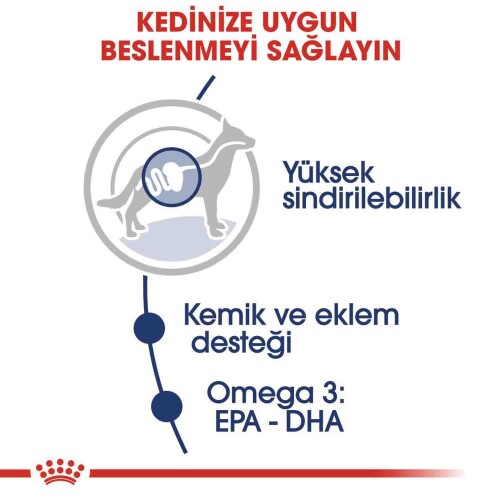 Royal Canin Maxi Adult Büyük Irk Yetişkin Köpekler İçin Parça Etli Konserve Mama 140 gr X 10 Adet