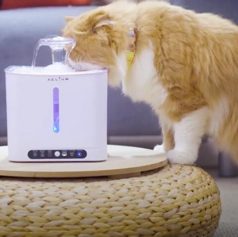 Aclıum Sensörlü Kedi Su Sebili 2,4 Lt