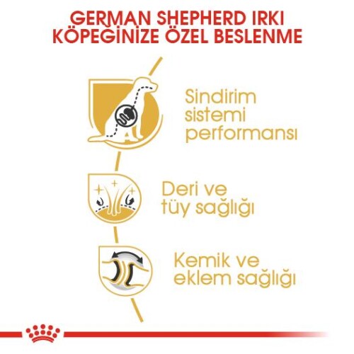 Royal Canin German Shepherd Alman Kurduna Özel Yetişkin Köpek Maması 11 kg