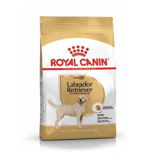Köpek Mamaları