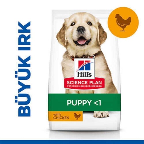 Hill's SCIENCE PLAN Büyük Irk Tavuklu Yavru Köpek Maması 2,5 kg