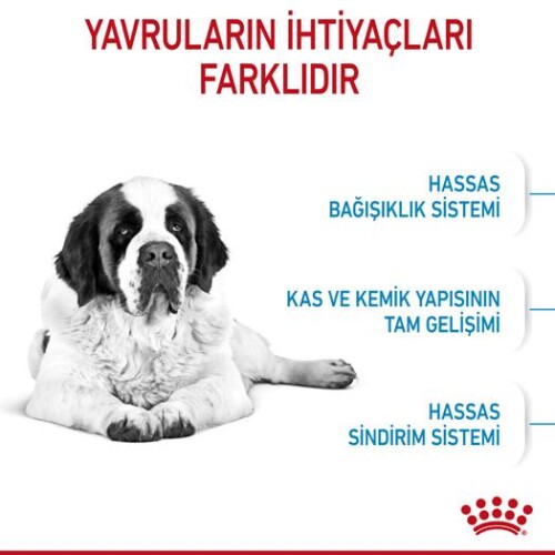 Royal Canin Giant Dev Irk Yavru Köpek Maması 15 kg