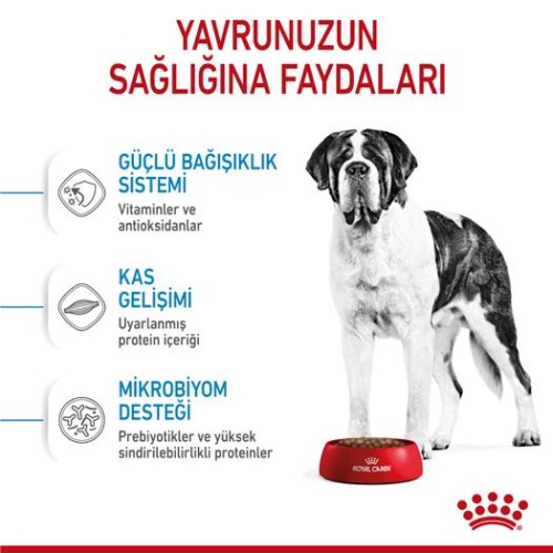 Royal Canin Giant Dev Irk Yavru Köpek Maması 15 kg