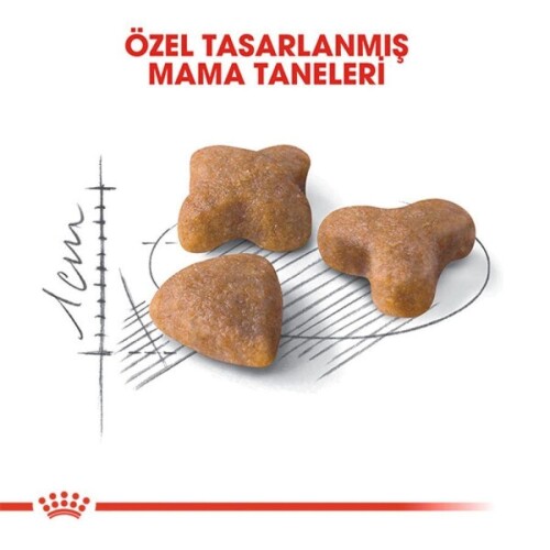 Royal Canin Sensible 33 Hassas Sindirimi Olan Kediler İçin Mama 10 kg