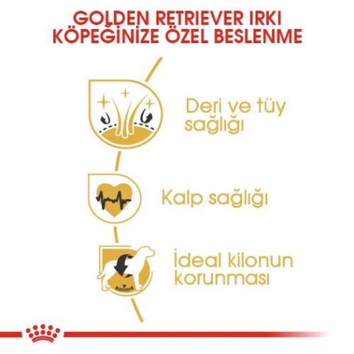 Royal Canin Golden Retriever Yetişkin Köpek Maması 12 kg