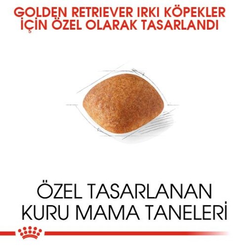 Royal Canin Golden Retriever Yetişkin Köpek Maması 12 kg