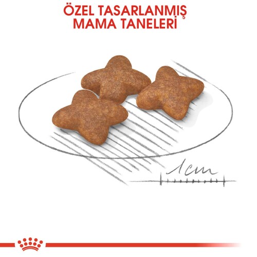 Royal Canin Mini Adult Küçük Irk Yetişkin Köpek Maması 8 kg